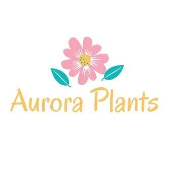 Aurora plants